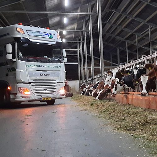 Ons-werk-onze-trots Ons-werk-onze-trots