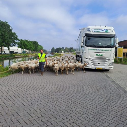 Ons-werk-onze-trots Ons-werk-onze-trots